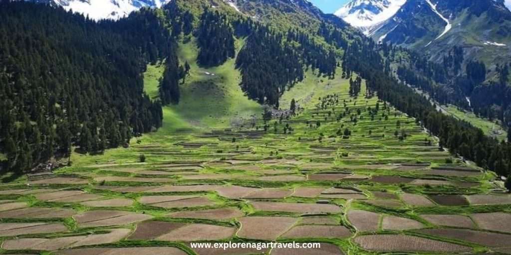 Best Places to Visit in NALTAR Valley