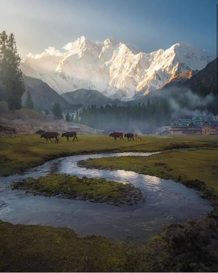 Places to Stay Being at the Fairy Meadows of Gilgit Baltistan