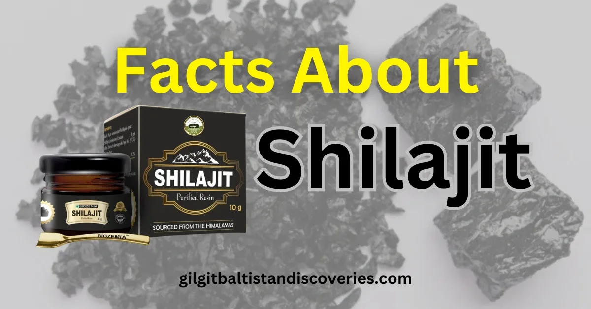 Facts About Shilajit Extraction - How to Extract Shilajit