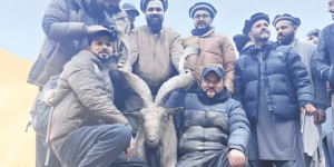 The $243,000 Markhor Hunt, From the U.S. to Chitral