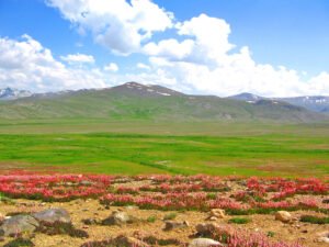 Deosai National Park plateau stretching to the horizon at 4,114 metres, Gilgit-Baltistan