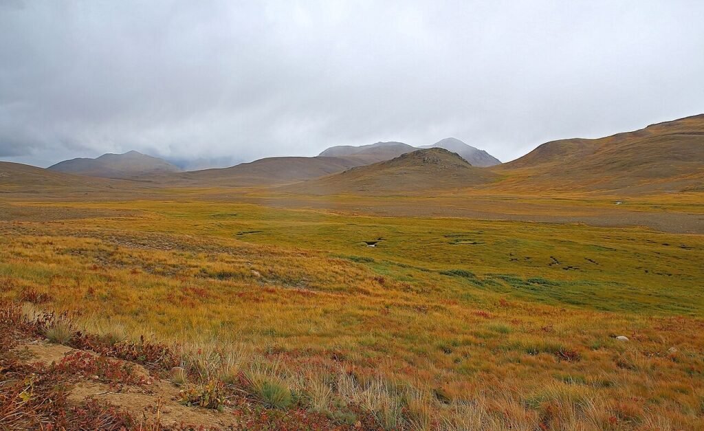 Travellers crossing the Deosai plateau in northern Pakistan, where summer afternoons at 4,000 metres still demand a warm layer and shell.