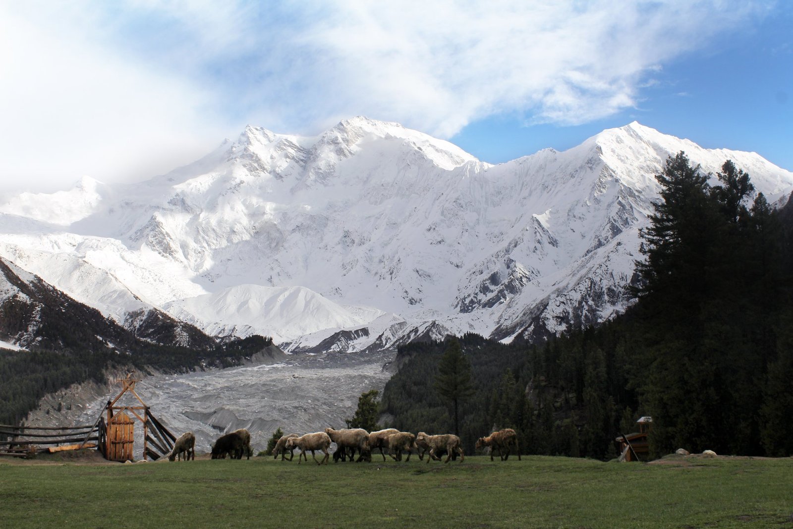 Fairy Meadows hiking track view of Nanga Parbat's Rakhiot Face over the Raikot Glacier, Diamer District