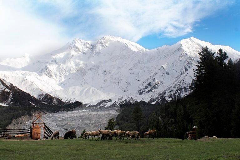 Nanga Parbat towering over Fairy Meadows