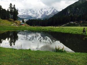 Fairy Meadows with wooden huts and Nanga Parbat rising behind, Gilgit-Baltistan
