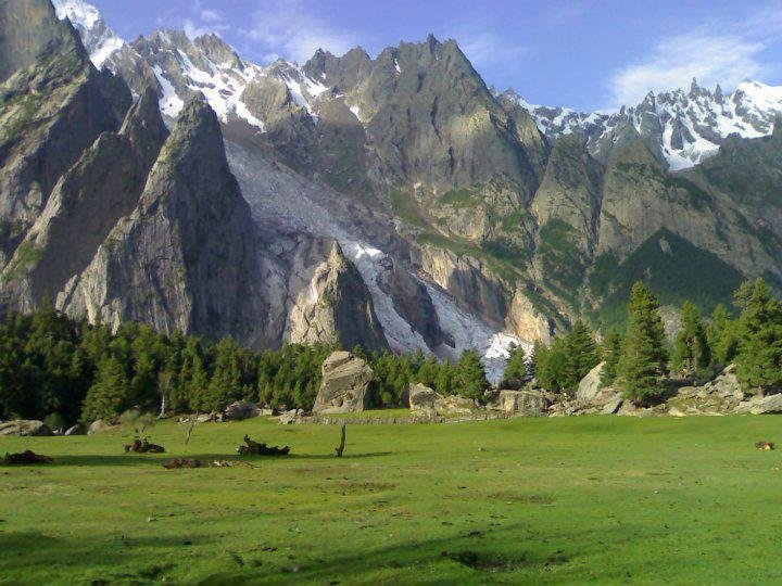 Green meadow with pine trees beneath rocky peaks and a glacier in Haramosh Valley
