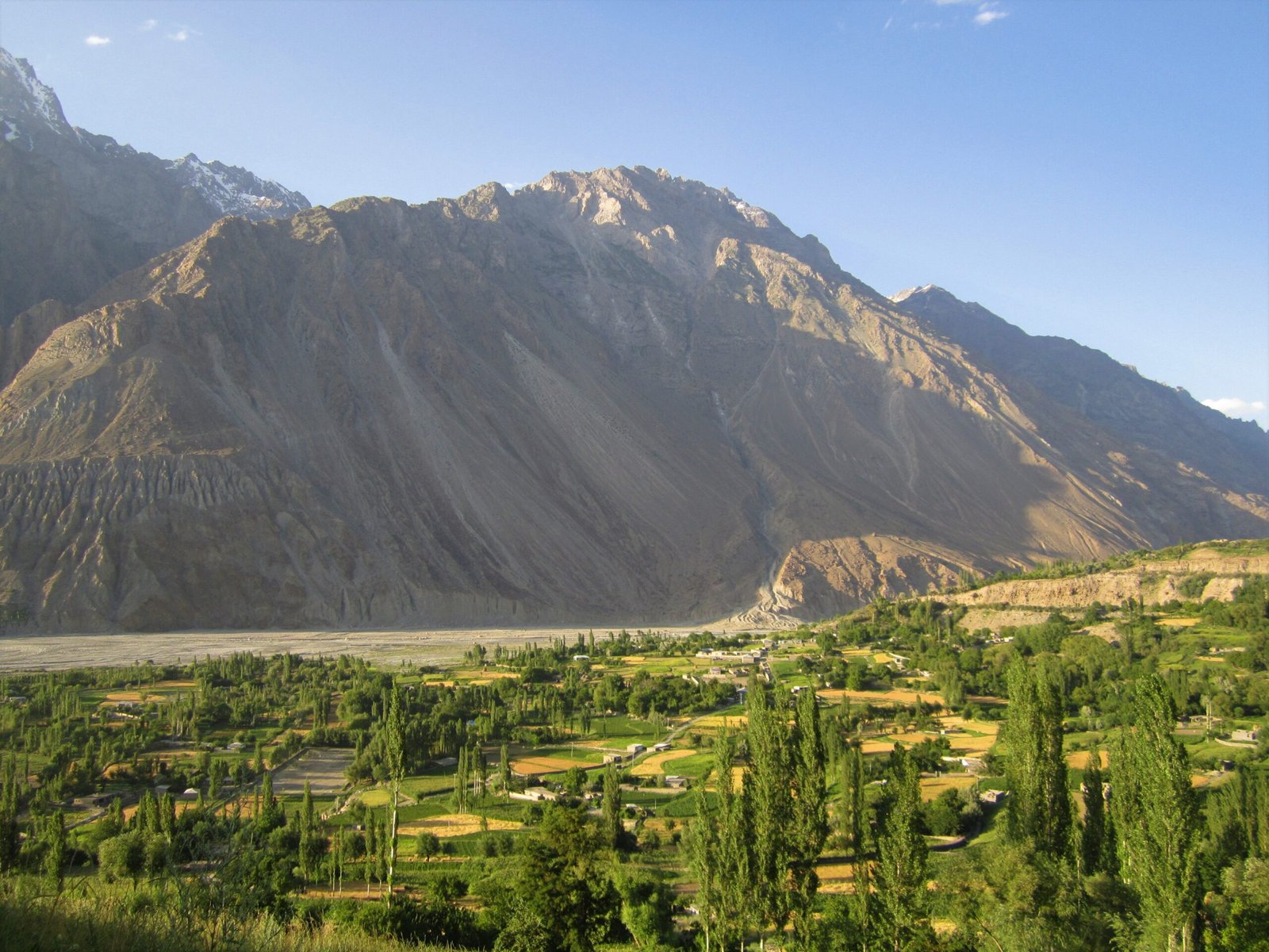Green village fields and poplars at Imit in Ishkoman Valley beneath high mountains