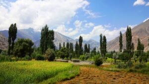 Green fields and poplar trees in Ishkoman Valley beneath snow peaks in Ghizer District