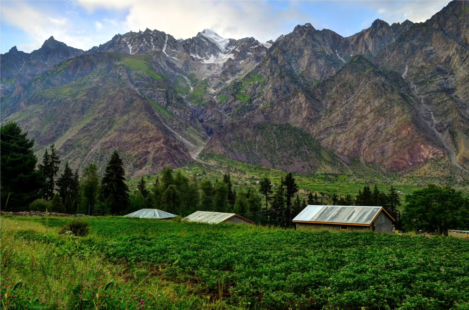 Pine trees, green fields and houses in Naltar Valley beneath high peaks.