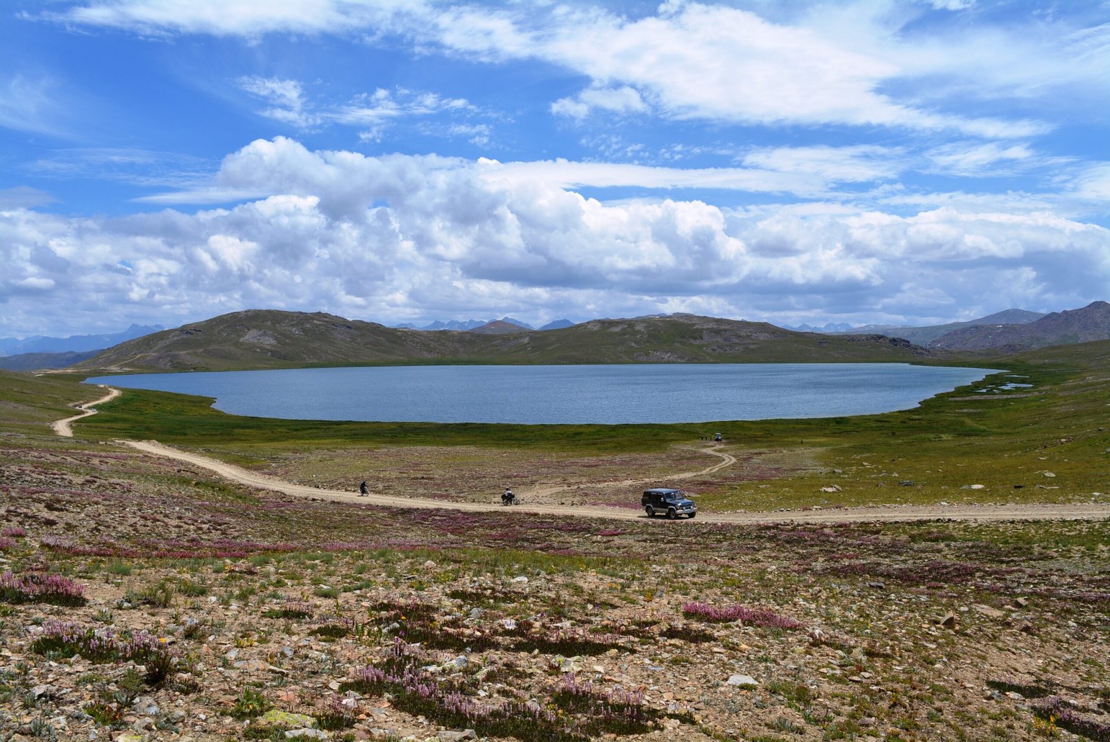 Sheosar Lake in Deosai National Park with a jeep track crossing the flower meadows.