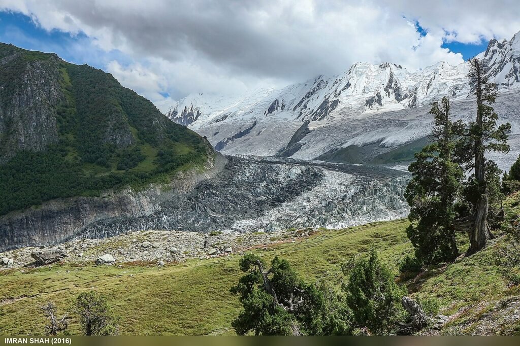 Tagaphari meadows below Rakaposhi in Nagar Valley.