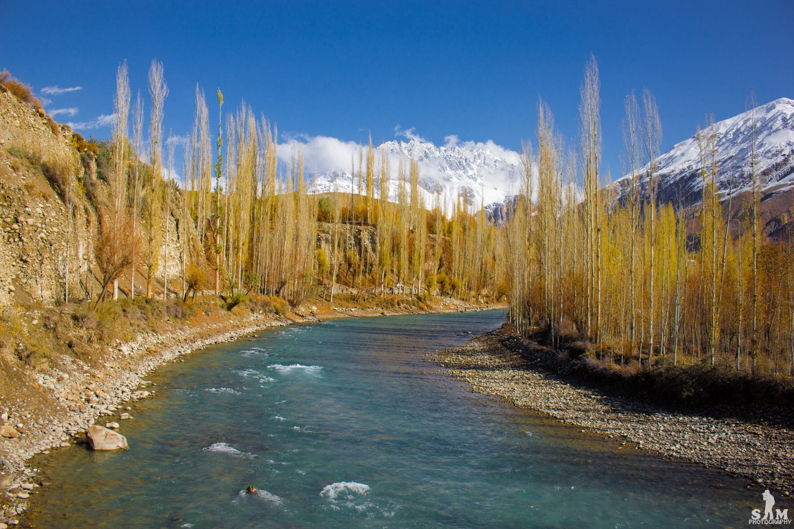 Clear turquoise water of the Yasin River beneath poplar trees in Yasin Valley